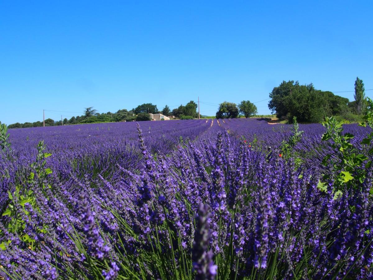 La Vita Dolce, Luberon Grambois Экстерьер фото