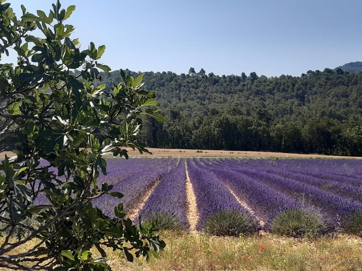 La Vita Dolce, Luberon Grambois Экстерьер фото