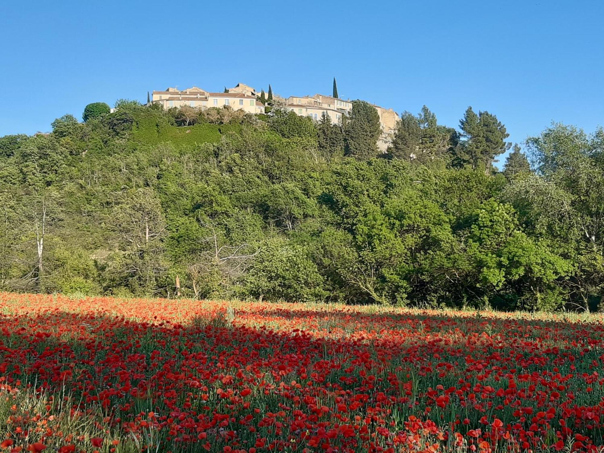 La Vita Dolce, Luberon Grambois Экстерьер фото